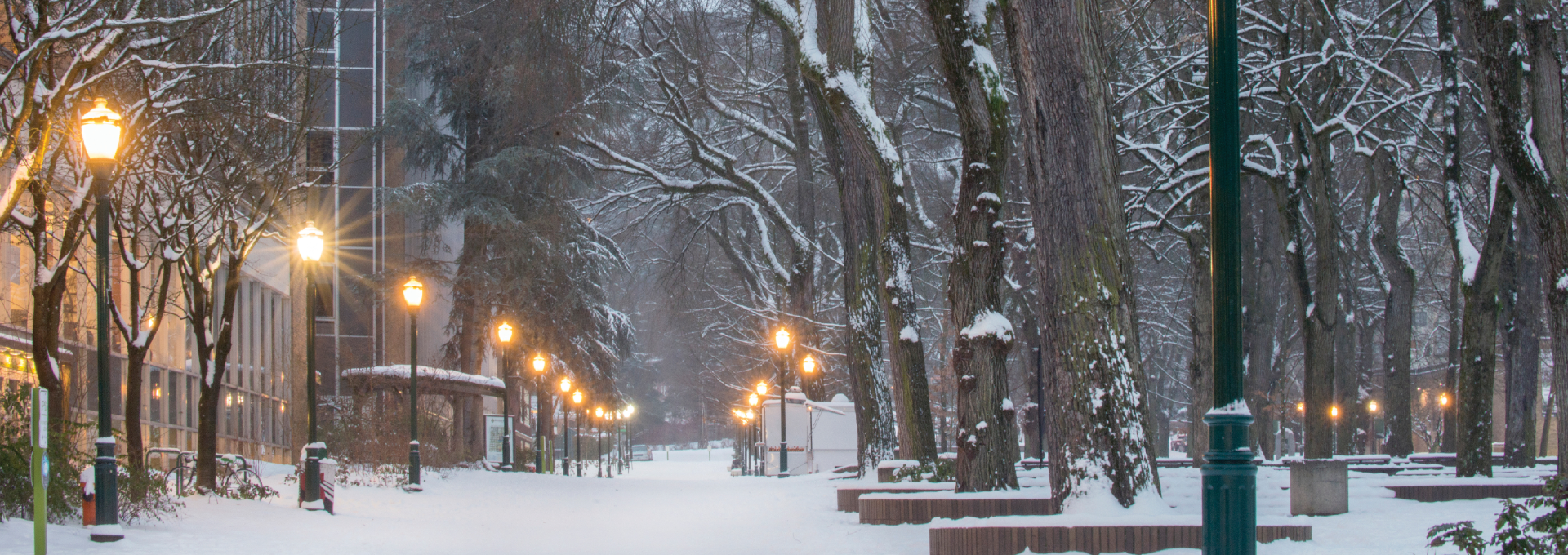 PSU park blocks snow day